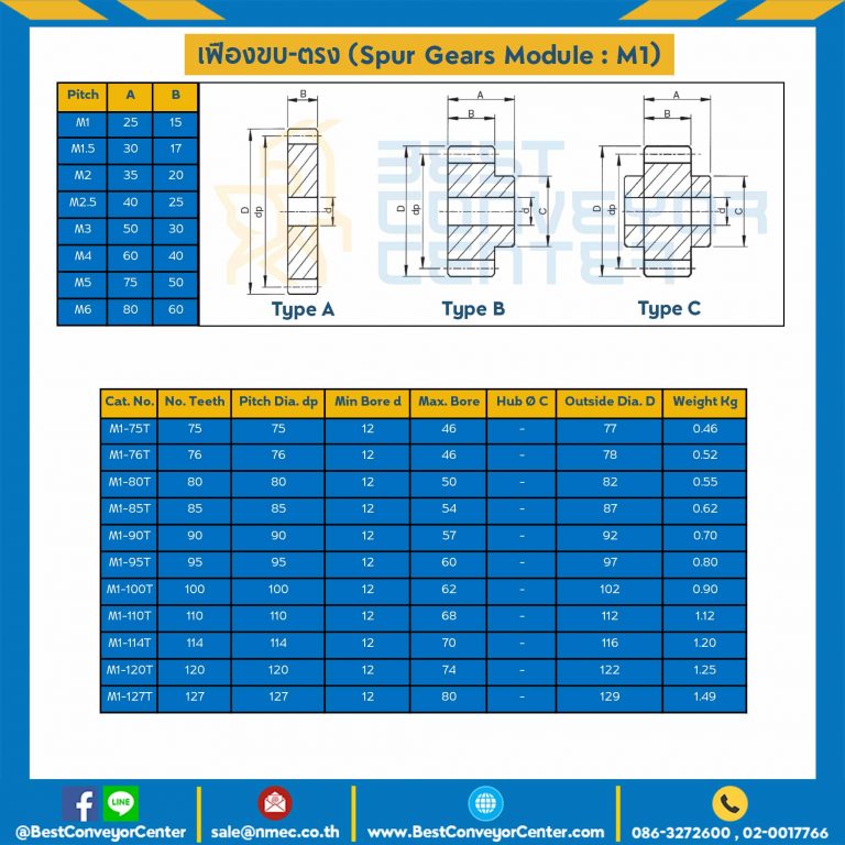เฟืองขบเหล็กชุปแข็งปลายฟัน มีดุมแถวคู่ M1-100TC