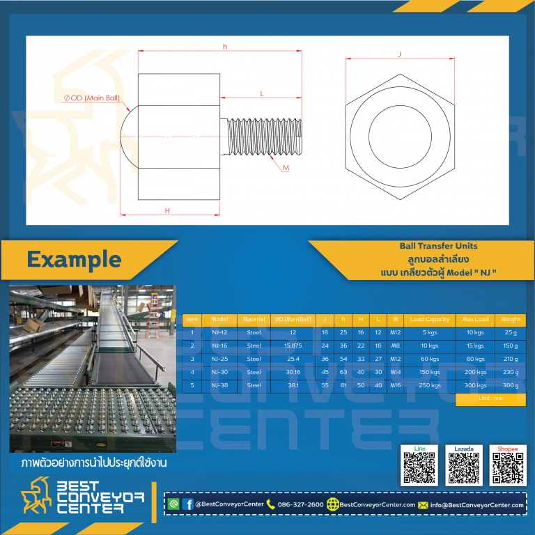 Ball Transfer Units 6 เหลี่ยม. 15.8 mm. NJ-16