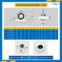 ลูกปืนตุ๊กตา UCF3361DC พลาสติกสีขาว ลูกปืนเหล็ก รูเพลา 30 mm. : UCF3361DC-30