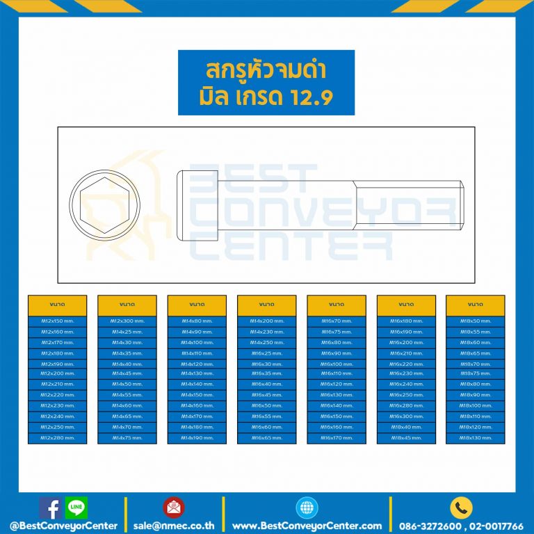 สกรูหัวจมดำ เกรด 12.9 ขนาด M22x250 mm. : HS-M22L250x12.9B