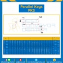 Parallel Key PKS 4×12-SS Parallel Key แบบกลม ที่ปลายทั้งสองด้าน ขนาด 4×12 mm. สแตนเลส