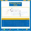Parallel Key PKD 3×30-S Parallel Key แบบตรง ขนาด 3×30 mm. เหล็ก