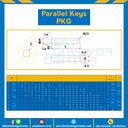 Parallel Key PKG 3×8-S Parallel Key แบบกลม ที่ปลายด้านหนึ่ง ขนาด 3×8 mm. เหล็ก