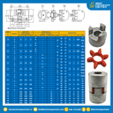 ROTEX-GR-100-1 ; ยอย Rotex Coupling GR-100-10