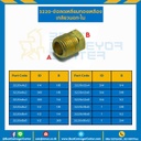 3220x16x8 ; ข้อลดเหลี่ยมทองเหลืองเกลียวนอก-ใน 3220x16x8 ขนาดเกลียว : 1″,1/2″