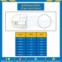 หัวน็อตหมวกล็อค ขนาด M10x1.5 ขอบ 17 mm. : CLN-M15