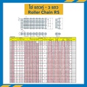 โซ่เหล็ก 3 แถว เบอร์ 50 (Steel) RS50-3R