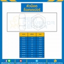 หัวน็อตล็อคเตเปอร์ ขนาด M10x1.25 mm. ขอบ 17 : TP-M10-1.25