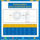 CN-M6-1.37 ; หัวน็อตลายเฟือง ขนาด M6x1.0 หนา 1.37 mm.