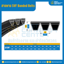 5VF Banded Belts : 3/5VF