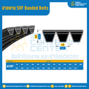 5VF Banded Belts : 4/5VF