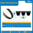 3VX Banded Belts : 4/3VX