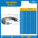 ออยซีล (Oil seal TC)