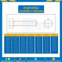 สกรูหัวเหลี่ยมทองเหลือง ขนาด 5/8×3-1/2 mm. : BHS-M5/8L3-1/14