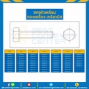 สกรูหัวเหลี่ยมทองเหลือง ขนาด M10x100 mm. : BHS-M10L104