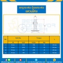 BBC-M10x50-S : สกรูกระพ้อ แหวนโค้ง M10 (3/8″) ยาว 50 mm.