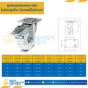 NYB-B-100 ล้อไนล่อนลูกปืน แบบแป้นเบรค ขนาด 100 mm.
