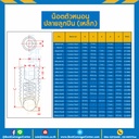 สกรูตัวหนอน M10x20 ปลายลูกปืน (Black) : M10L20BP