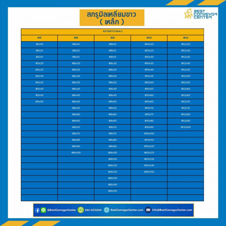 สกรูหัวเหลี่ยม M10x100 mm. เกลียวตลอดชุปขาว : M10L100S