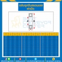6000-OPEN-SS ตลับลูกปืนเม็ดกลมสแตนเลส 6000 ฝาเปิด 2 ข้าง ขนาด 10x26x8 mm.