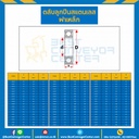6000-ZZ-SS ตลับลูกปืนเม็ดกลมสแตนเลส 6000 ฝาเหล็ก 2 ข้าง ขนาด 10x26x8 mm.