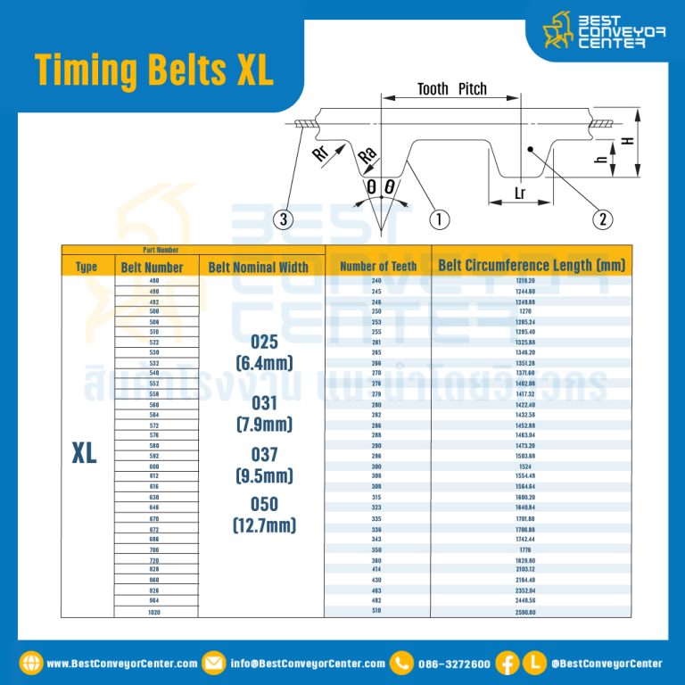 ไทม์มิ่ง เบลล์ Timing Belt 250XL หน้ากว้าง 12.7 mm. 125 ฟัน ยาว 635 mm. : Timing Belt 250XL-12.7-125T-651