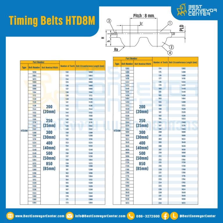 ไทม์มิ่ง เบลล์ Timing Belt HTD8M หน้ากว้าง 20 mm 100 ฟัน ยาว 800 mm. : Timing Belt HTD8M-20-100T-876