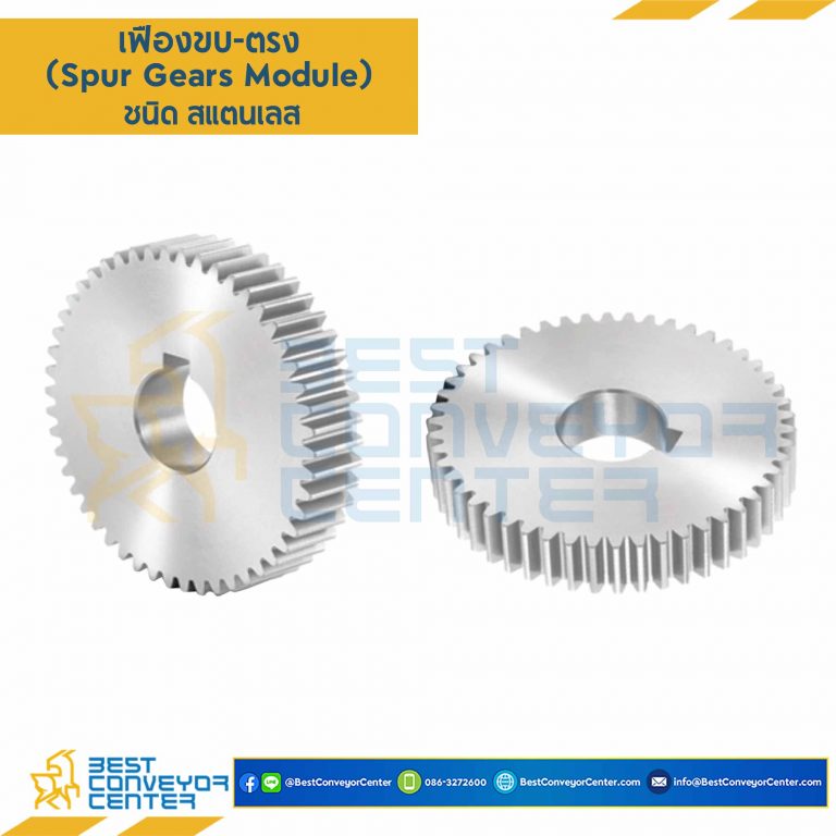 เฟืองขบสแตนเลส แผ่นเรียบ M1SS-105TA