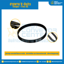 สายพาน V-Belt Torque – Flex : AX88