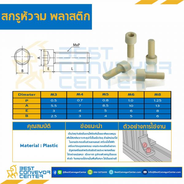 HS-M3L10P สกรูหัวจม M3x10 mm. เกลียวตลอดพลาสติก