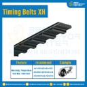 ไทม์มิ่ง เบลล์ Timing Belt XH หน้ากว้าง 152.4 mm. 85 ฟัน ยาว 1190 mm. : Timing Belt XH-152.4-85T-1190