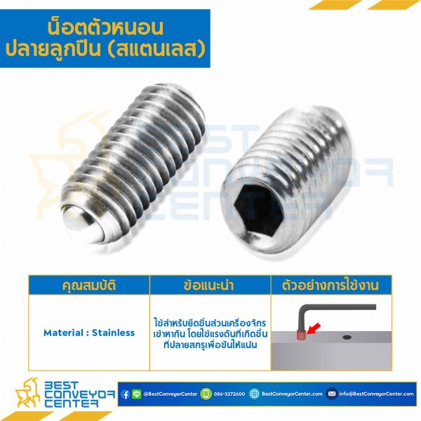 M8L16SSP สกรูตัวหนอน M8x1.25x16 ปลายลูกปืน (Stainless Steel)