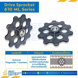SPROCKET 8Z, BORE 30 MM., DIA 166 MM. FOR CHAIN 610 ML : 6308603-610 ML