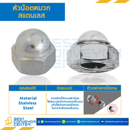 หัวน็อตหมวกสแตนเลส ขนาด M3x0.5 ขอบ 5.5 สูง 5 mm. : CN-M3-0.5-SS