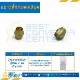 ตาไก่ทองเหลือง 60×6