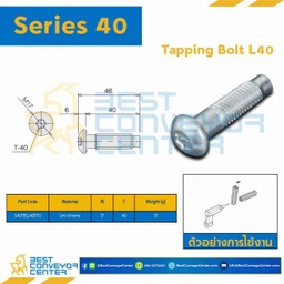 S40TB-L40-17U TAPPING BOLT L 40 : Series 40 Uni-Chrome M17