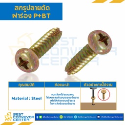 สกรูเกลียวเหล็กปลายตัดผ่าร่อง P+BT ขนาด M3x15 mm. : HSPBT-M3L15