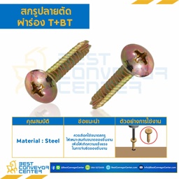 สกรูเกลียวเหล็กปลายตัดผ่าร่อง T+BT ขนาด M3x20 mm. : HSTBT-M3L20
