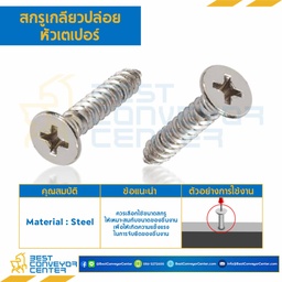 สกรูเกลียวปล่อยหัวเตเปอร์ ชุบนิเกิ้ล ขนาด #10×3/4 mm. : HSTP#10L3/4