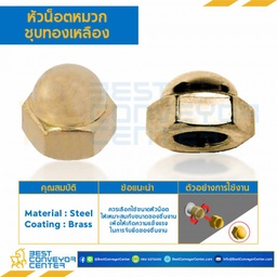 หัวน็อตหมวกชุบทองเหลือง ขนาด M10x1.25 ขอบ 14 สูง 13.5 mm. : CN-M10-1.25-14-BR
